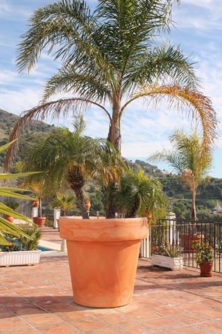 Villa El Nido Nerja Eksteriør bilde