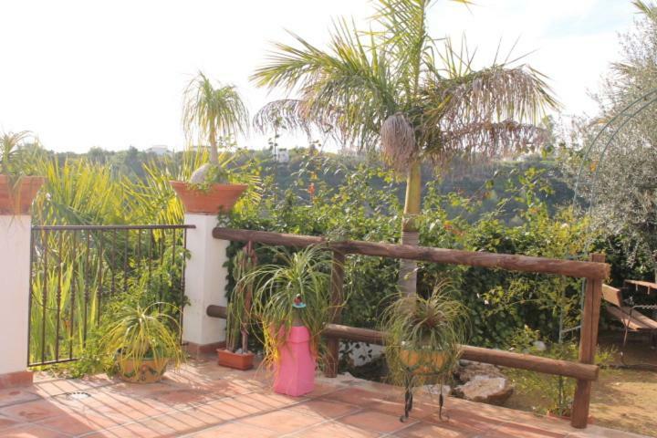 Villa El Nido Nerja Eksteriør bilde